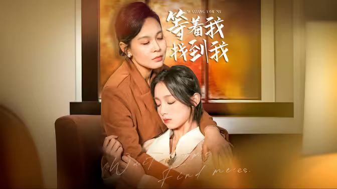 等著我，找到我(全集)
