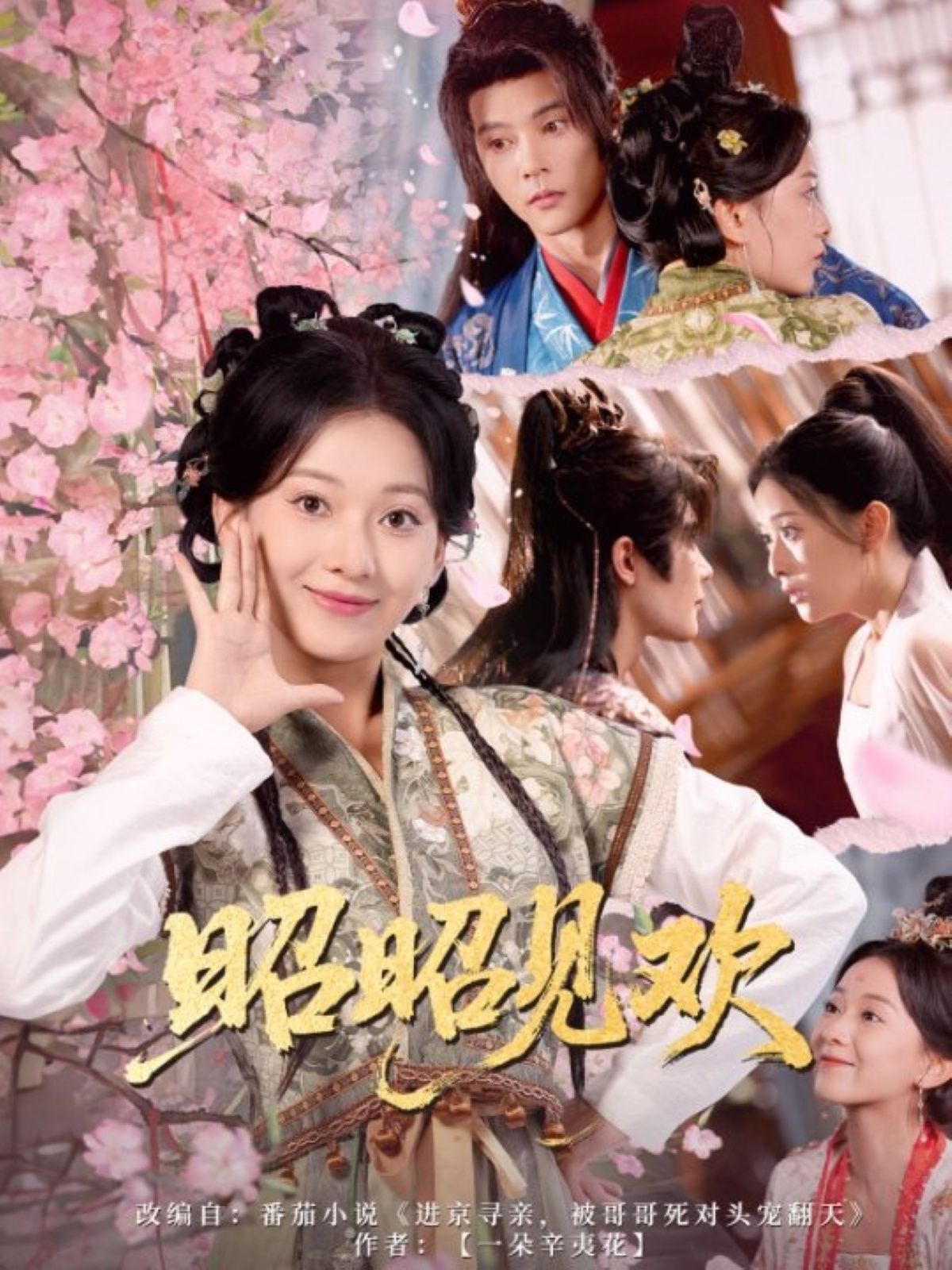 昭昭見歡(全集)