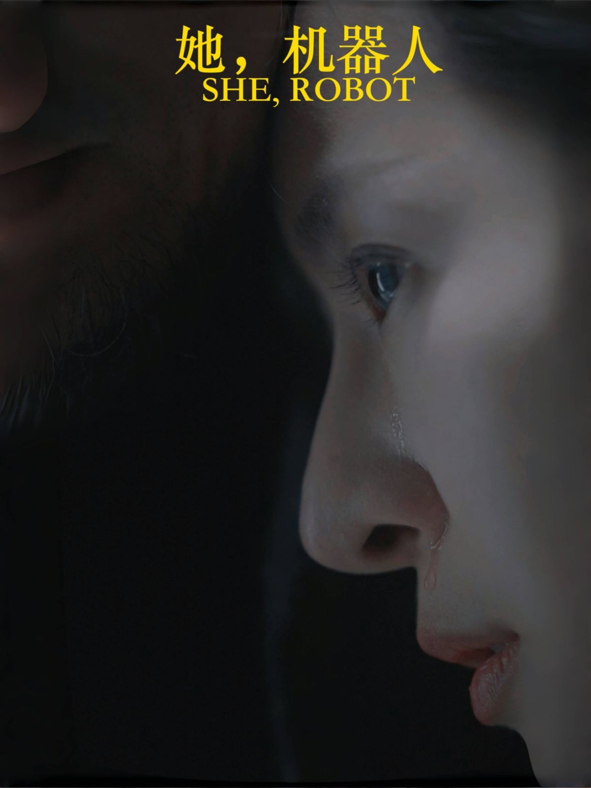 她，機器人（她機器人）(全集)