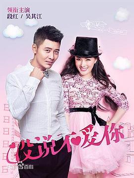 沒說(shuō)不愛你(全集)