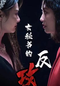 女秘書(shū)的反攻(全集)