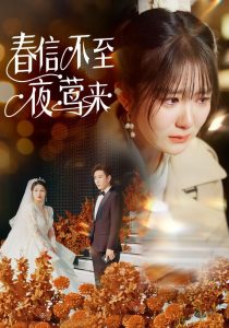 春信不至夜鶯來(全集)