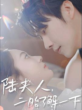 陸夫人，二胎了解一下(全集)