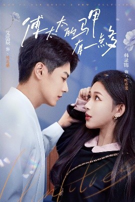 傅太太的馬甲有一點多(全集)