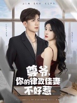 尊爺，你的律政嬌妻不好惹(全集)