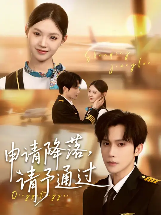 申請降落請予通過(全集)