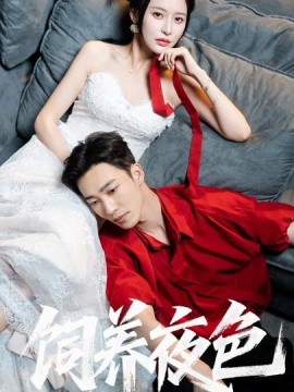 飼養(yǎng)夜色(全集)