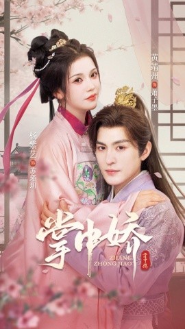 掌中嬌94集(全集)