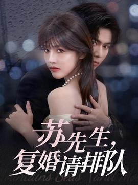 蘇先生，復(fù)婚請排隊(全集)