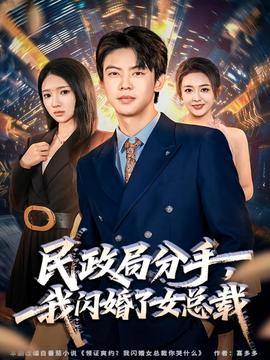 民政局分手，我閃婚了女總裁(全集)