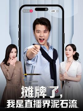 攤牌了，我是直播界泥石流(全集)