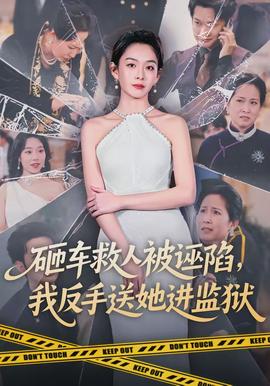 砸車救人被誣陷，我反手送她進(jìn)監(jiān)獄(全集)