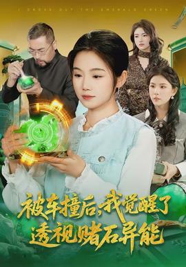 被車撞后，我覺(jué)醒了透視賭石異能了(全集)