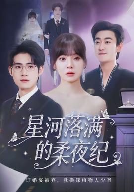 星河落滿的柔夜紀(jì)(全集)