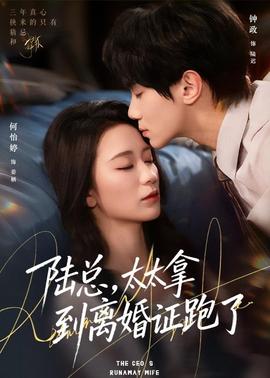 陸總，太太拿到離婚證跑了(全集)