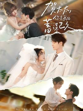 賀太太，你是我的蓄謀已久(全集)