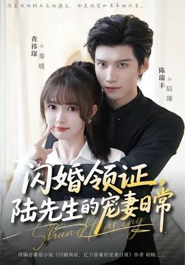 閃婚領(lǐng)證，陸先生的寵妻日常(全集)