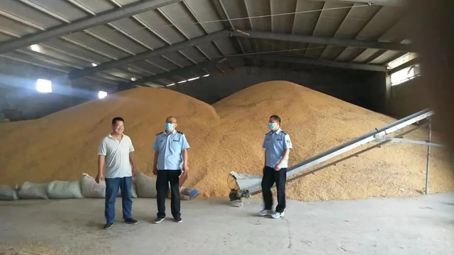 东平县市场监督管理局加强粮食收购领域计量监管